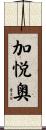 加悦奥 Scroll
