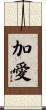 加愛 Scroll