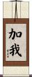 加我 Scroll