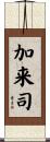 加来司 Scroll