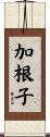 加根子 Scroll