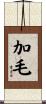 加毛 Scroll