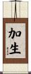 加生 Scroll