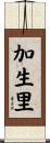 加生里 Scroll