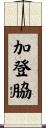 加登脇 Scroll