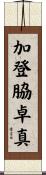 加登脇卓真 Scroll