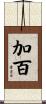 加百 Scroll