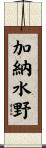 加納水野 Scroll