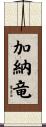 加納竜 Scroll