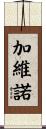 Gabino Scroll