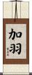 加羽 Scroll