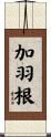加羽根 Scroll
