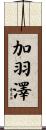 加羽澤 Scroll
