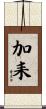 加耒 Scroll