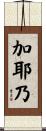 加耶乃 Scroll