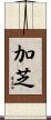 加芝 Scroll