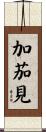 加茄見 Scroll