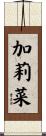 加莉菜 Scroll