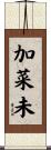 加菜未 Scroll