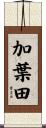 加葉田 Scroll