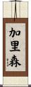 Garrison Scroll