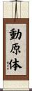 動原体 Scroll