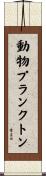 動物プランクトン Scroll