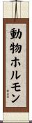 動物ホルモン Scroll