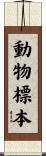 動物標本 Scroll