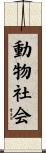 動物社会 Scroll