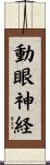 動眼神経 Scroll