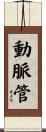 動脈管 Scroll