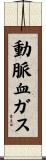 動脈血ガス Scroll