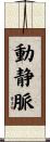 動静脈 Scroll