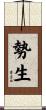 勢生 Scroll