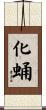 化蛹 Scroll
