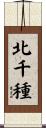 北千種 Scroll