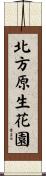 北方原生花園 Scroll