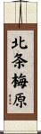 北条梅原 Scroll