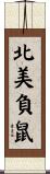North American Opossum / Possum Scroll