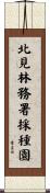 北見林務署採種園 Scroll