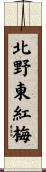 北野東紅梅 Scroll
