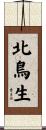 北鳥生 Scroll