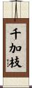 千加枝 Scroll