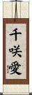 千咲愛 Scroll