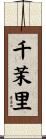 千茉里 Scroll