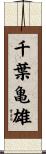 千葉亀雄 Scroll