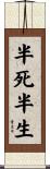 半死半生 Scroll