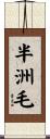 半洲毛 Scroll