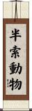 半索動物 Scroll